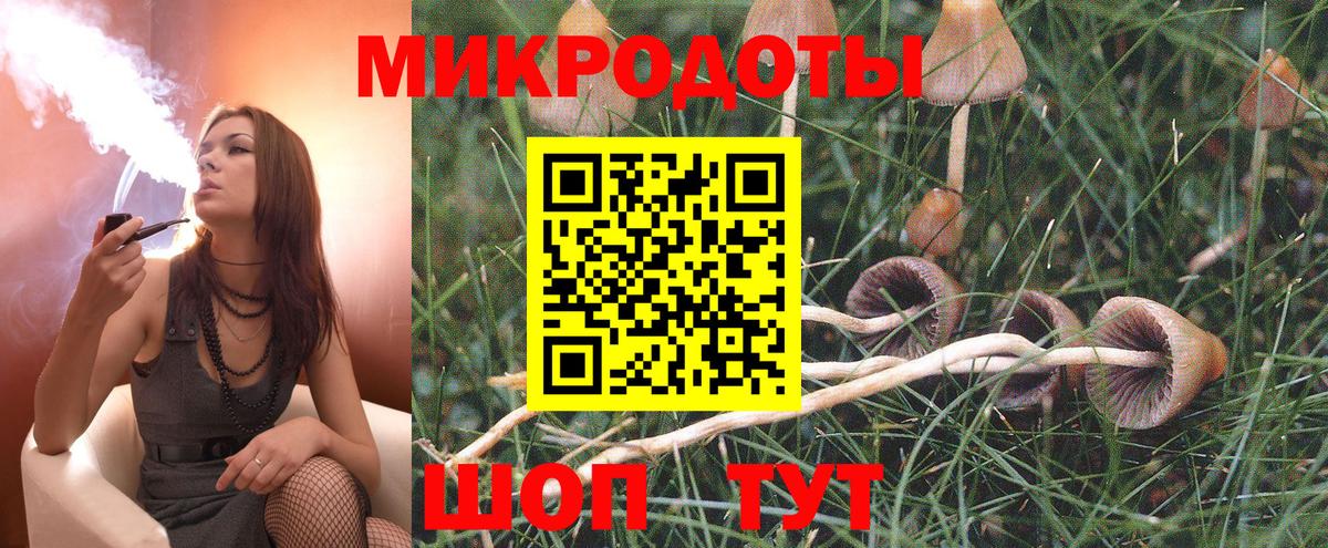 Галлюциногенные грибы Magic Shrooms Петропавловск-Камчатский