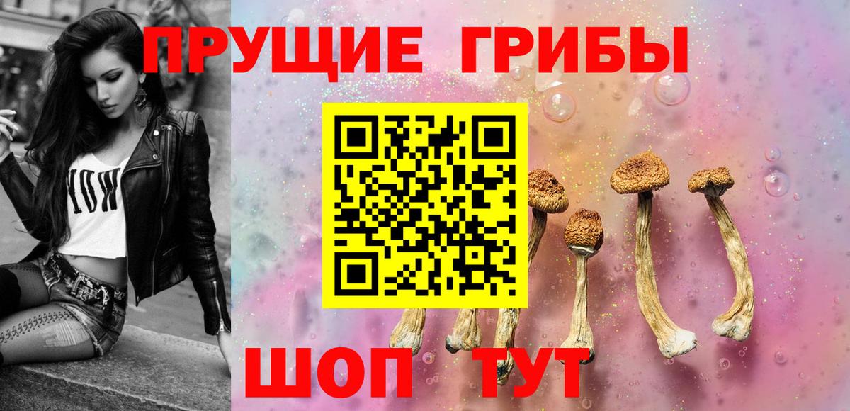 Псилоцибиновые грибы Psilocybe  Вход с VPN  Петропавловск-Камчатский 